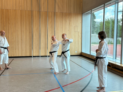 Karate Seminar 2023 in Deutschland_9